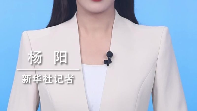 Tabular模型：商业智能的得力助手